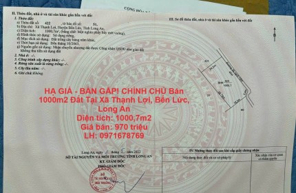 HẠ GIÁ - BÁN GẤP! CHÍNH CHỦ Bán 1000m2 Đất Tại Xã Thạnh Lợi, Bến Lức, Long An